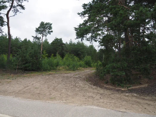 Dodendraad in Hamelt Achel (Belgium)